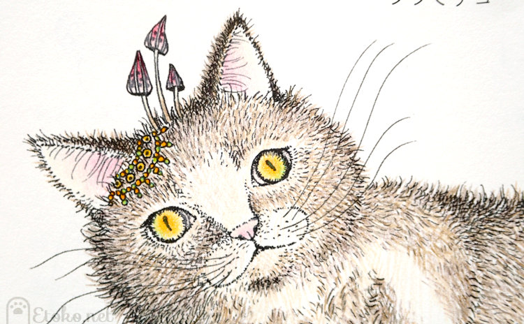 『シロクロ世界のにゃんコロリアージュ』より内表紙の猫の塗り絵のドアップ