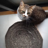 猫の丸型爪とぎを手作り｜ダンボールを切って丸める作り方