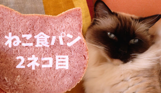 どこから見てもピンクなねこ食パン、続いて2ネコ目